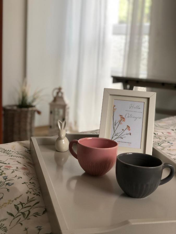 Pokoje Agroturystyczne U Hani Ostrzyce Esterno foto
